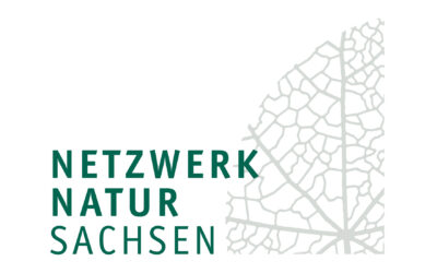 Netzwerk Umweltbildung Sachsen zukünftig Netzwerk Natur Sachsen